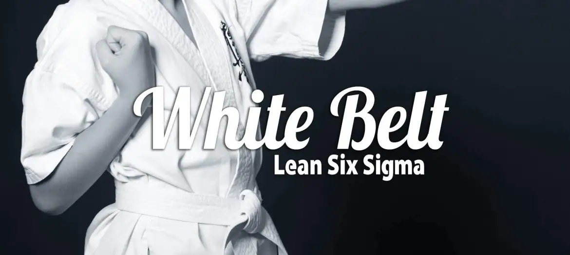 Curso White Belt Lean Six Sigma (Virtual)